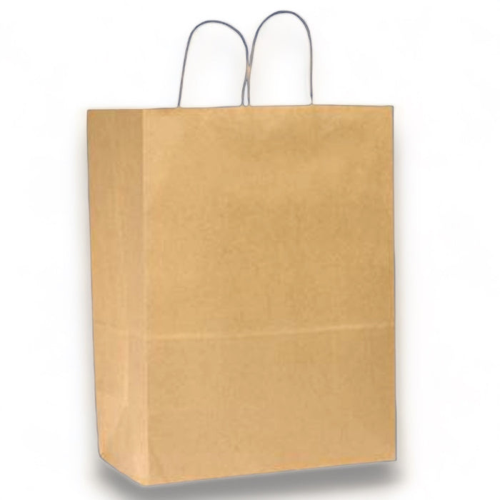 10 X 5 X 13 KRAFT PAPER SHOPPING BAG WITH HANDLE 250CT