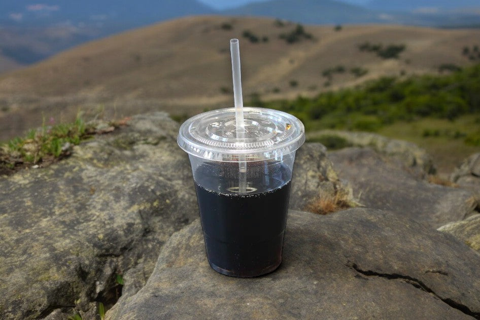 12 OZ CLEAR PLASTIC SQUAT PET COLD CUPS 1000CT