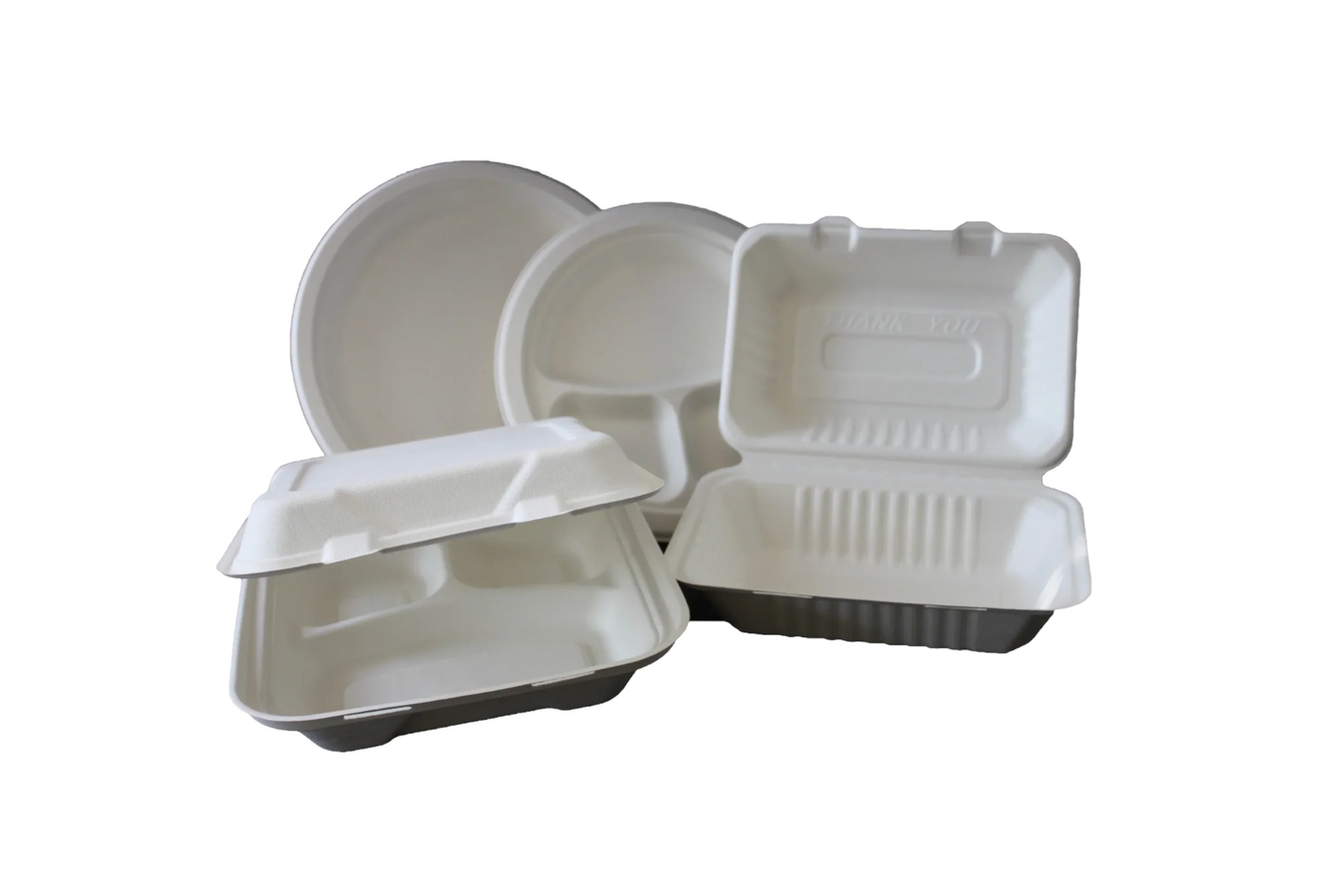Biodegradable & Eco Friendly