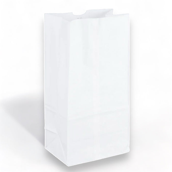 20LB WHITE DURO PAPER BAG 500CT